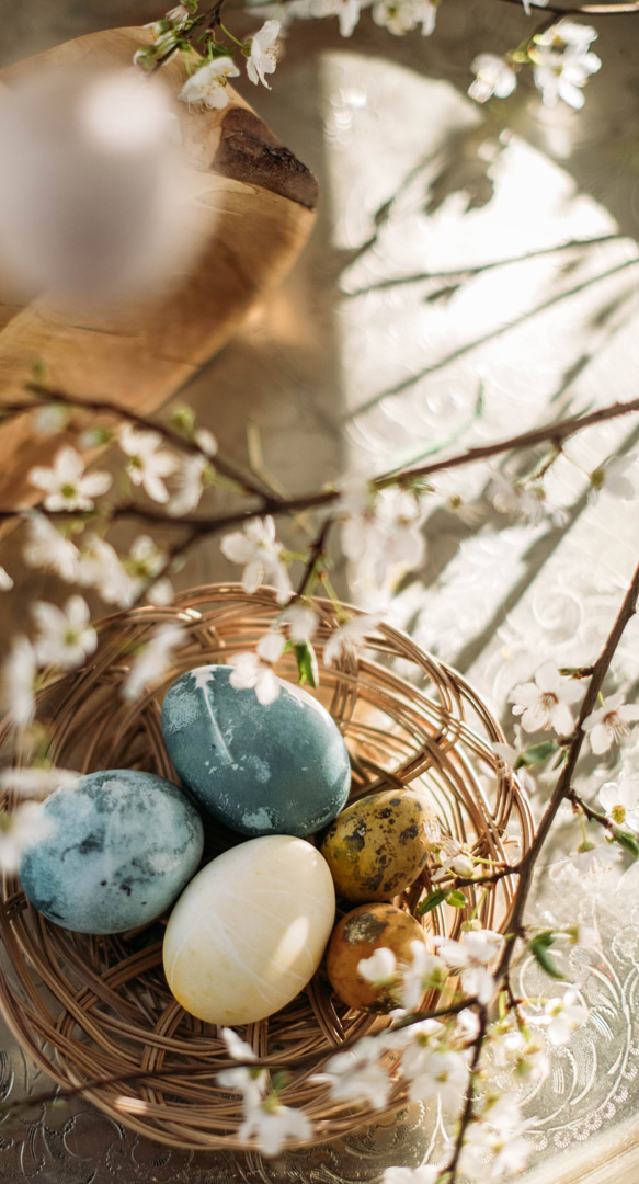 WirsindNatur_Frühling22-ostern_Foto_naturakademie(c)VickyPosch